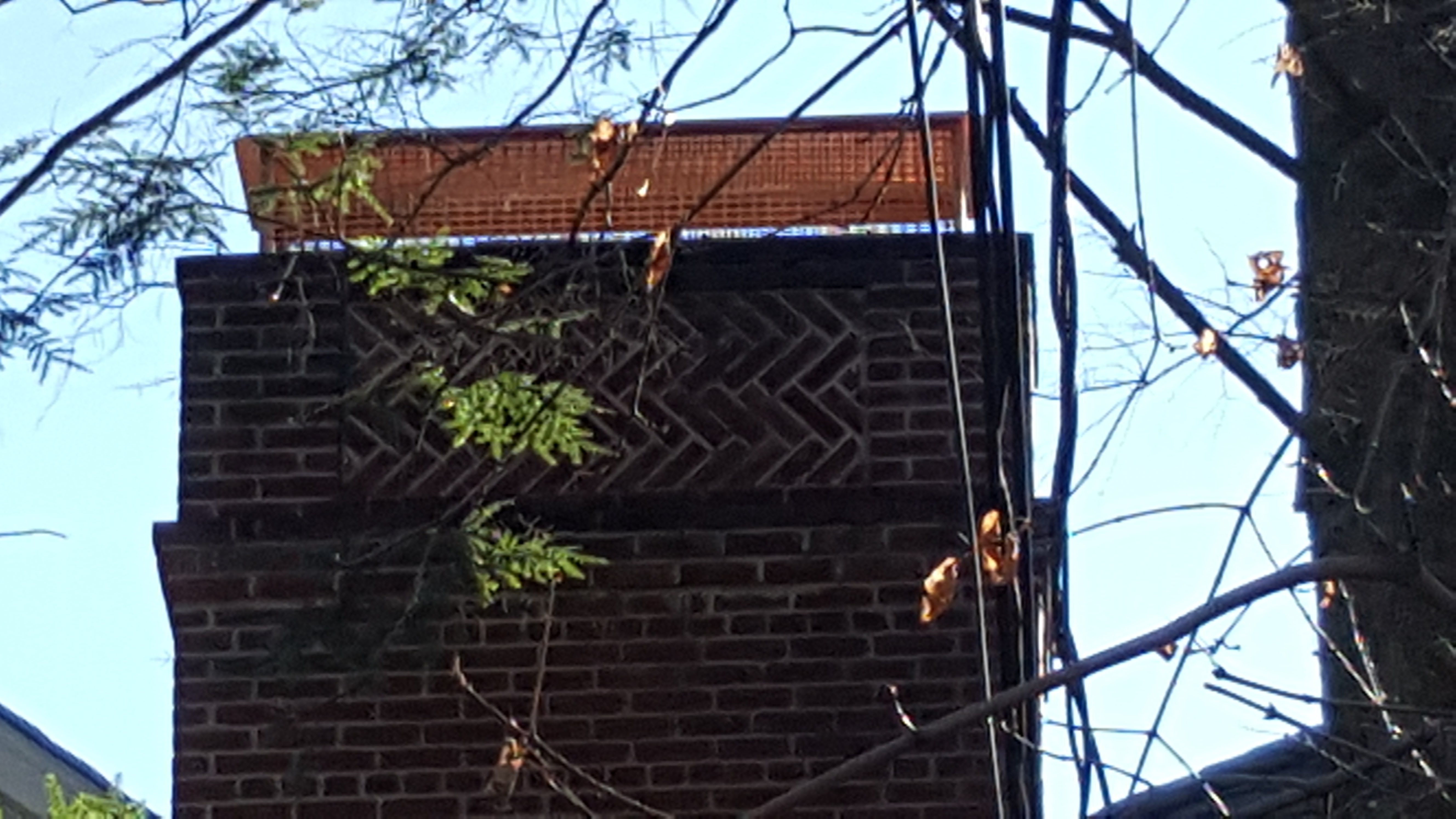 Animal-proof chimney cap protecting home in Elmont, New York